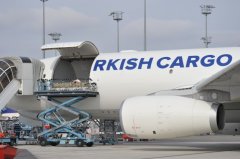 土耳其貨運-將推出謝列梅捷沃航班