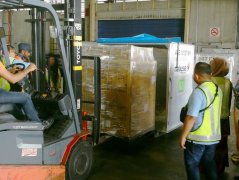 空運價格-MASKargo開設了針對清真貨運專機