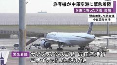 海運拼箱價格-美聯航飛東京航班因大雨改降機場 燃油不足緊急降落