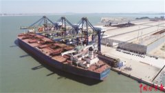 海運訂艙-新冠肺炎疫情當前 國際干散貨運輸市場何去何從？