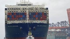 紐約國際快遞-運輸需求陡降，集裝箱航運公司密集抽停航班（附圖）