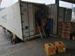 東南亞空運蛇口港，進口水果第一季度箱量增長46%——兩步申報，船邊直提，最